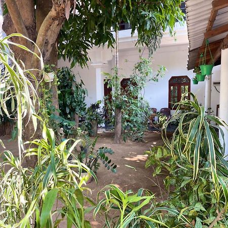 Arugambay Village Arugam Bay Bagian luar foto