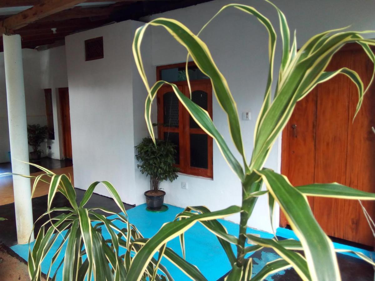 Arugambay Village Arugam Bay Bagian luar foto